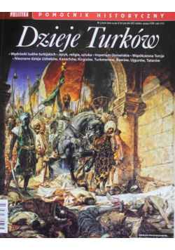 Dzieje Turków pomocnik