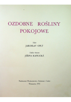 Ozdobne rośliny pokojowe