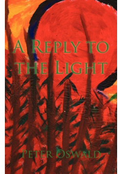 A Reply to the Light