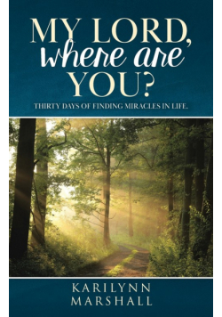 My Lord, Where are You?