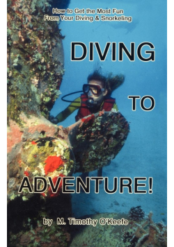 Diving to Adventure
