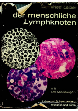 Der menschliche lymphknoten