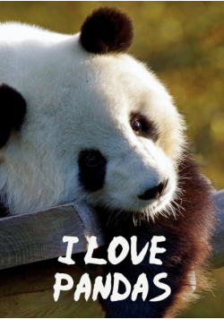 I Love Pandas Notebook