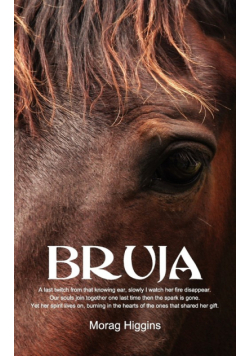 Bruja