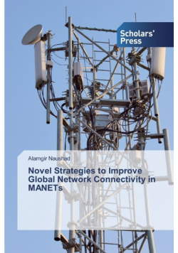 Novel Strategies to Improve Global Network Connectivity in MANETs