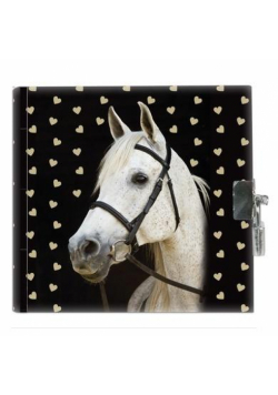 Pamiętnik z kłódką Horse 18-3640HS PASO