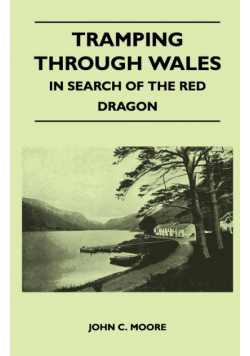 Tramping Through Wales - In Search of the Red Dragon