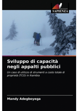 Sviluppo di capacità negli appalti pubblici