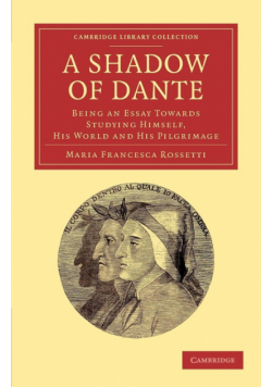 A Shadow of Dante