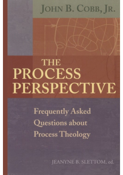 The Process Perspective