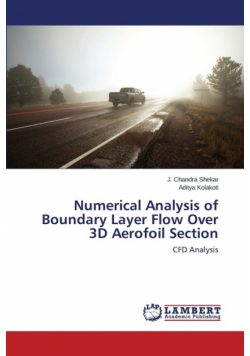 Numerical Analysis of Boundary Layer Flow Over 3D Aerofoil Section