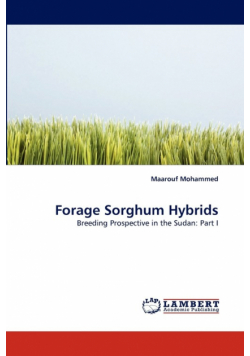 Forage Sorghum Hybrids