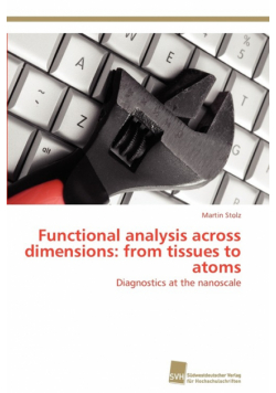 Functional analysis across dimensions