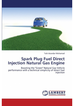 Spark Plug Fuel Direct Injection Natural Gas Engine