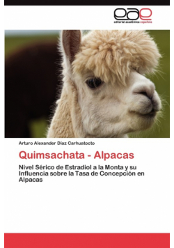 Quimsachata - Alpacas