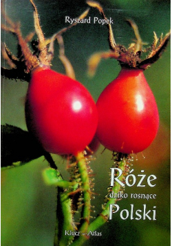 Róże dziko rosnące polski