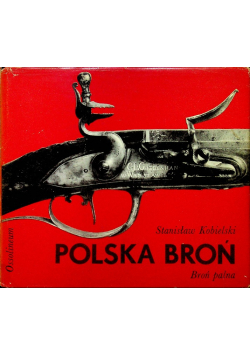 Polska broń broń palna