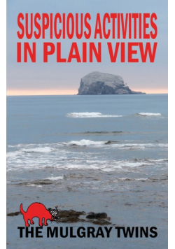 Suspicious Activities in Plain View