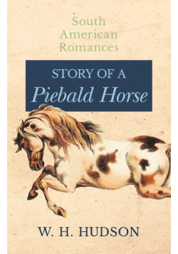 Story of a Piebald Horse