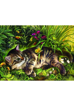 Puzzle 1000 Zabawa kotka w ogrodzie