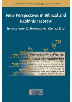 New Perspectives in Biblical and Rabbinic Hebrew