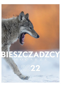 Kalendarz 2022 Bieszczadzcy mocarze