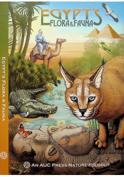 Prześlij Prześlij Prześlij Prześlij Prześlij Egypt's Flora and Fauna