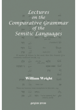 Lectures on the Comparative Grammar of the Semitic Languages