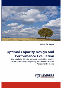 Optimal Capacity Design and Performance Evaluation