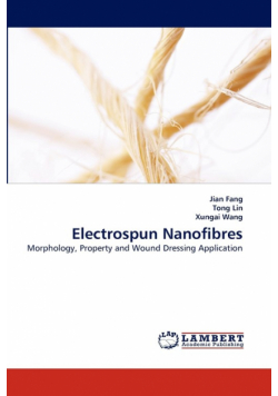 Electrospun Nanofibres