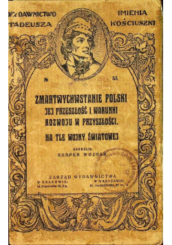 Zmartwychwstanie Polski jej przeszłość i warunki rozwoju w przyszłości na tle wojny światowej 1919 r