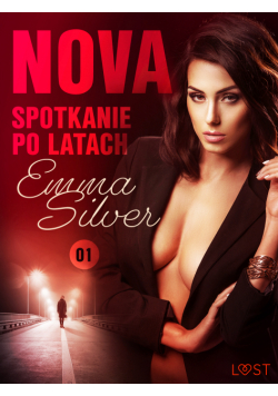 Nova. Nova 1: Spotkanie po latach - Erotic noir (#1)