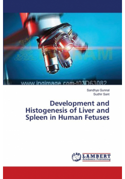Development and Histogenesis of Liver and Spleen in Human Fetuses