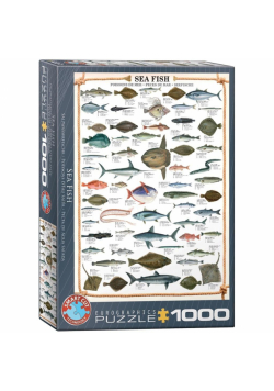Puzzle 1000 Morskie ryby