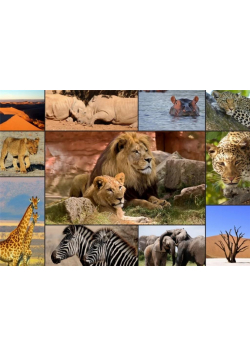 Puzzle 1500 Dzikie zwierzęta