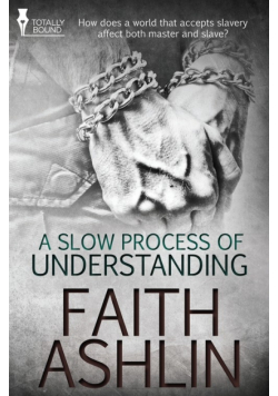 A Slow Process of Understanding