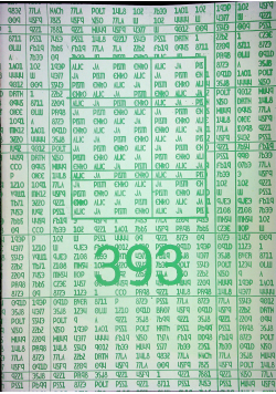 393