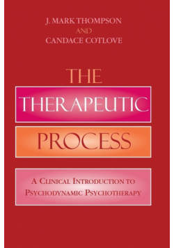 The Therapeutic Process