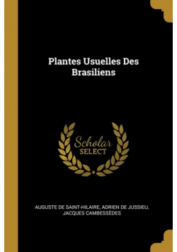 Plantes Usuelles Des Brasiliens