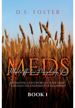 Most Effective Discipleship Seeds (MEDS)