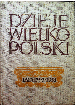 Dzieje Wielkopolski Tom II