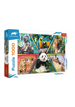 Puzzle 1000 Królestwo zwierząt TREFL