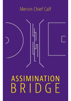 Assimination Bridge