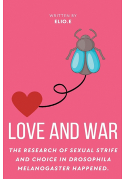 love and war