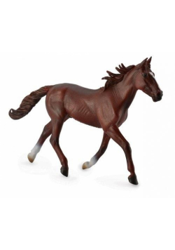 Ogier standardbred pacer kasztanowy