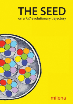 The SEED on a 7x7 Evolutionary Trajectory