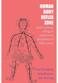 Human Body Reflex Zone Quick Lookup