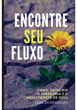 Encontre Seu fluxo