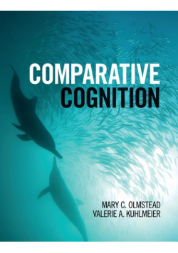 Comparative Cognition