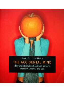 The accidental mind